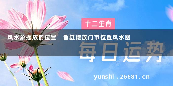 风水象摆放的位置 鱼缸摆放门市位置风水图